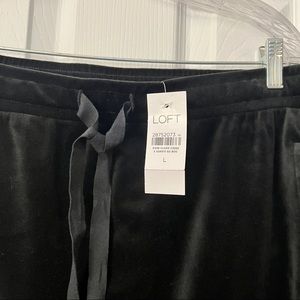 Black Velour Elastic Waist Skirt | Loft